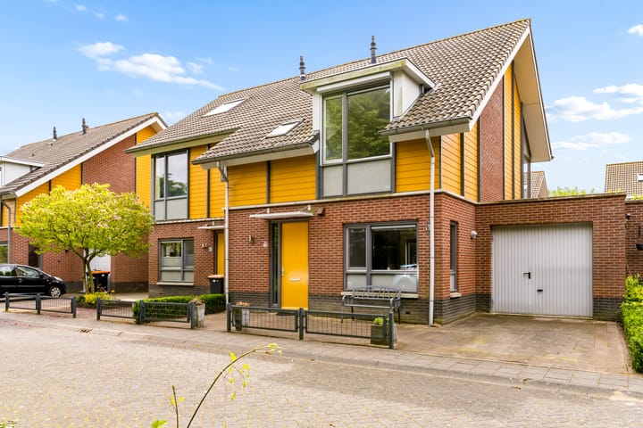 Schouw 54 58