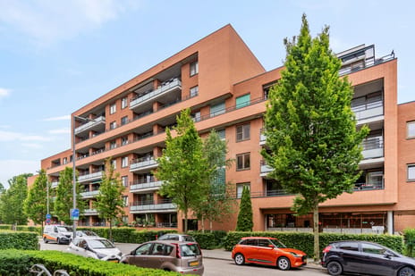 Zanglijsterstraat 129