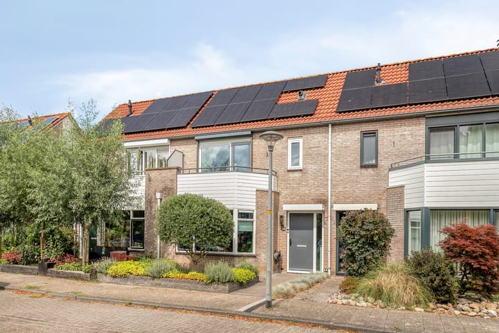 Schokker 36