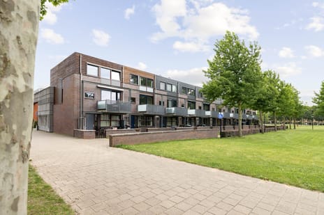 Brandts Buyspark 3