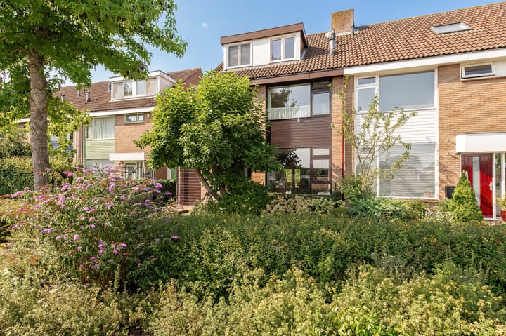 Wilgeboom 51