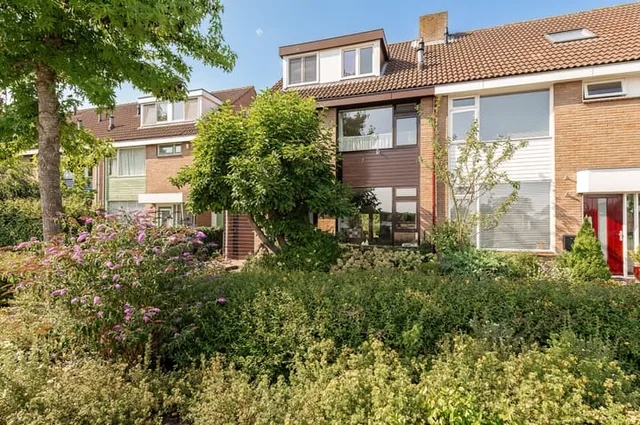 Wilgeboom 51