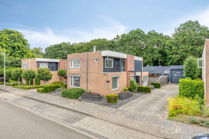 Wildeman 28
