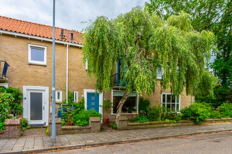 Catharinus Stomplaan 4