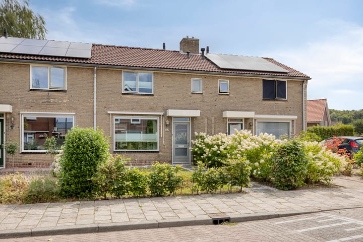 Molenkampsweg 52