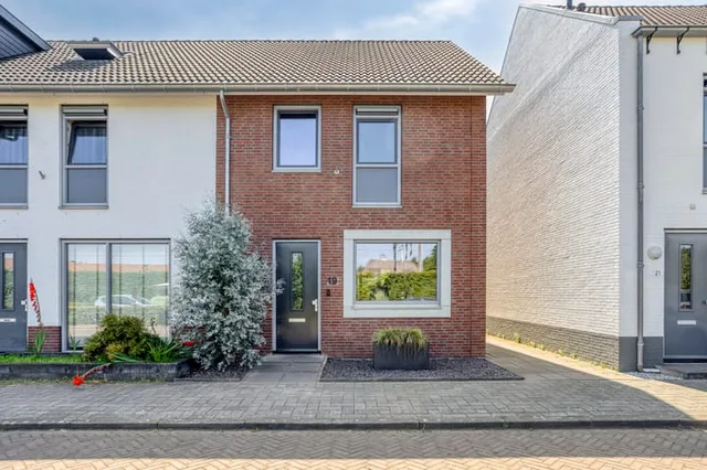 Zaagbok 19