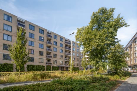 Ir J.P. van Muijlwijkstraat 276