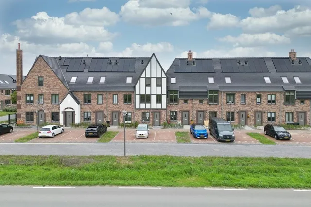 Zonnebaars 73