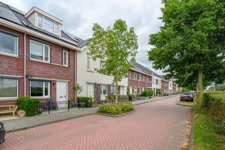 De Melksuiker 73