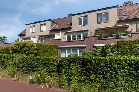 Goudvink 39