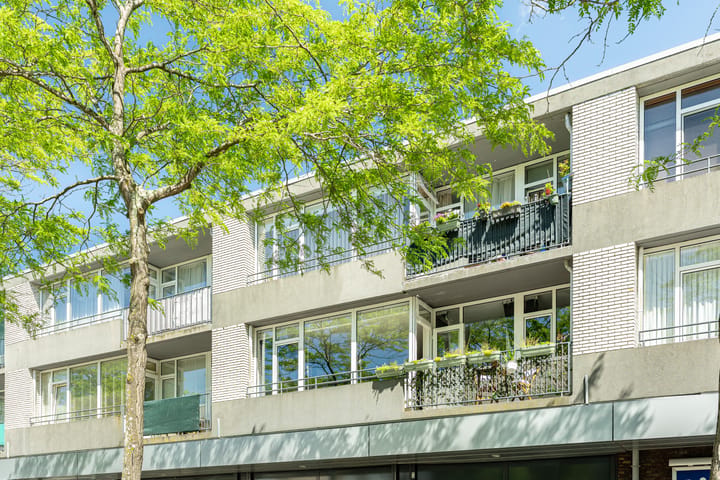 William Harveystraat 20