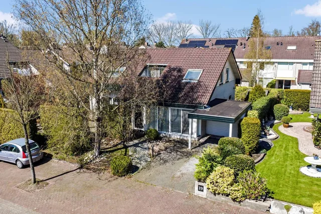 Sleutelbloem 19