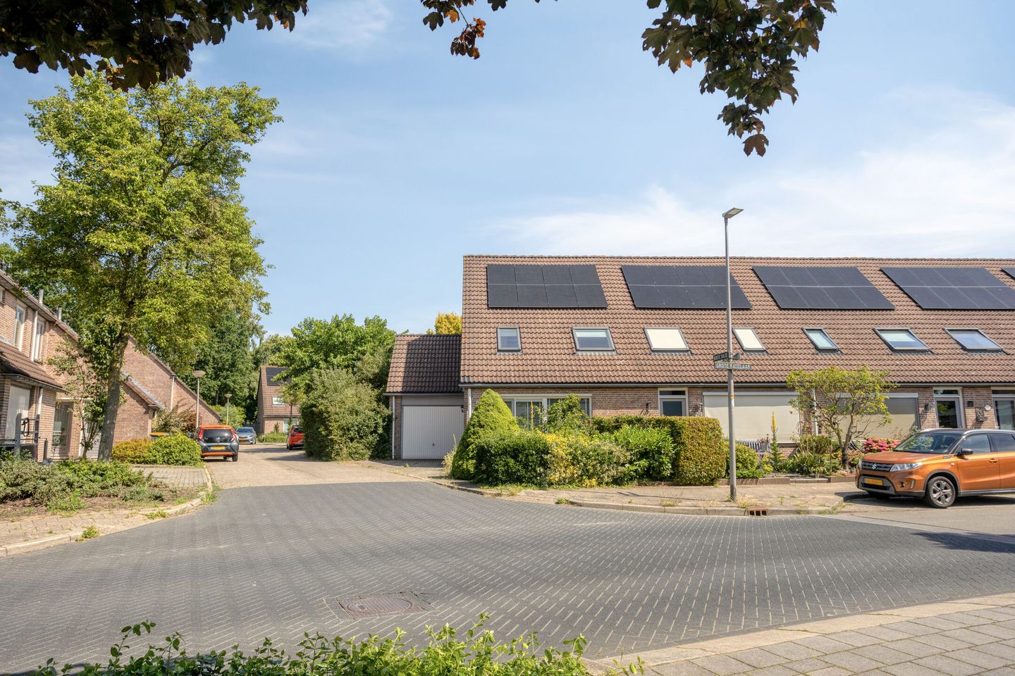 Grote ratelaar 117