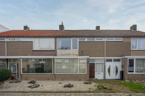 Pieter Borpad 4