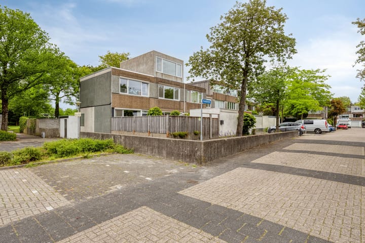 Haagbeemd 14