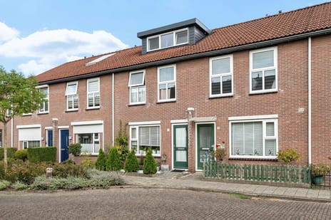 Baurichter 9