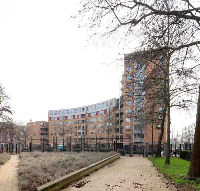 Henriëtte Roland Holststraat 142 3511 MN Utrecht