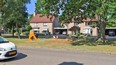 De Regenwulp 9