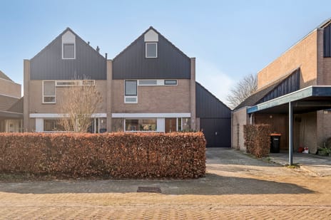 Kempenaar 02 6