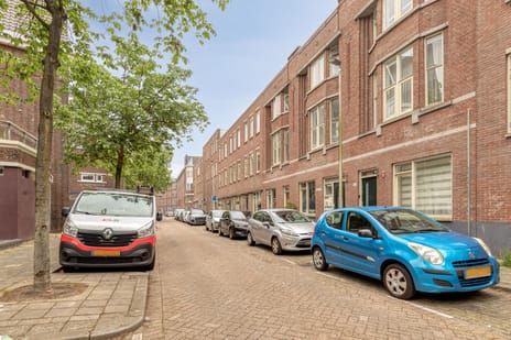 Buitenhofstraat 146