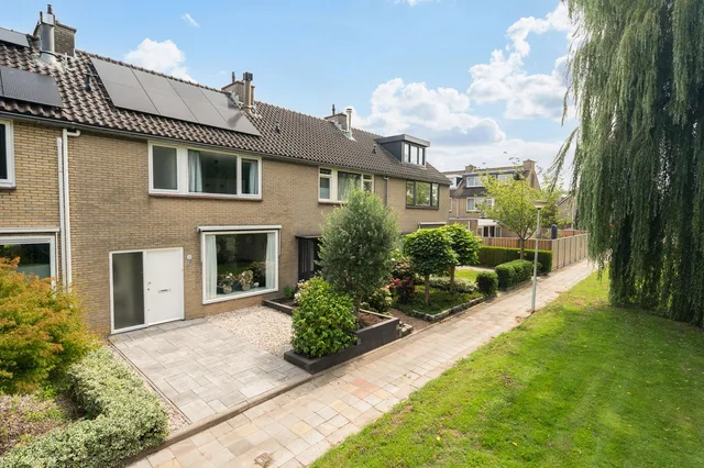 Korenbloem 11