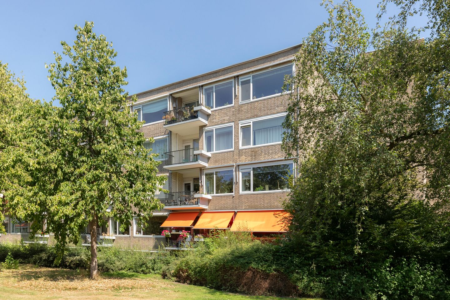 Pruimenlaan 168