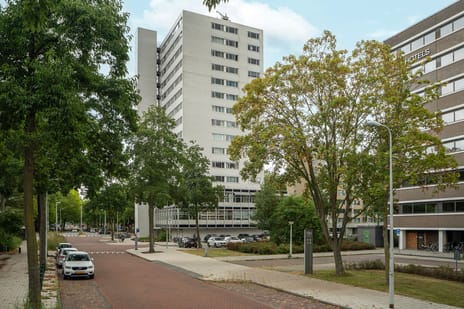 Van Leijenberghlaan 171