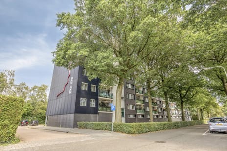 Griegstraat 541